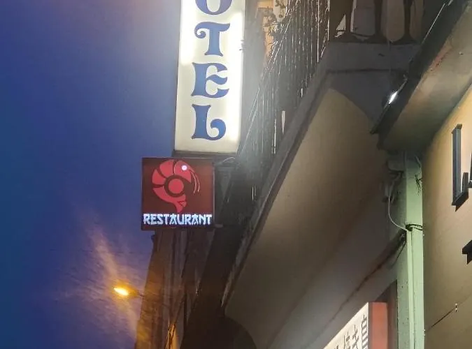 Des Lices - فندق